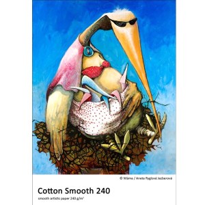 Cotton Smooth 240